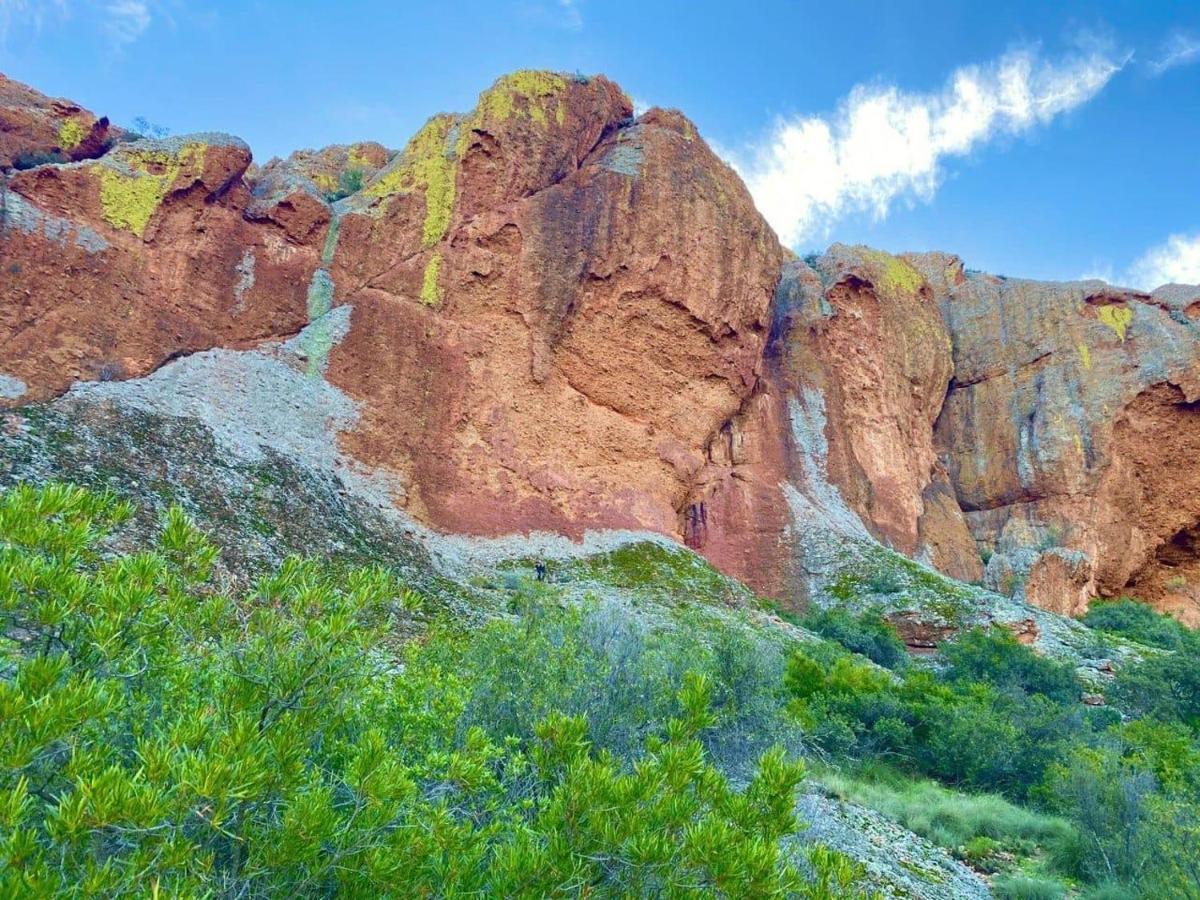 Apartament Red Mountain Ridge Karoo Oasis And Guest Farm Buffelskloof Zewnętrze zdjęcie